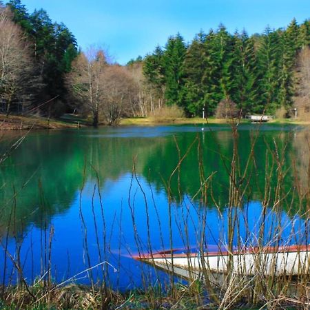 Modern Apartment In Waldachtal Near The Forest Esterno foto